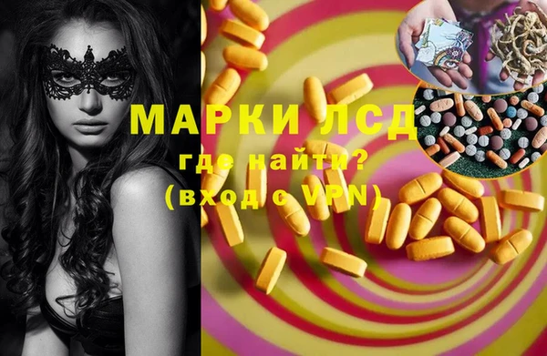 apvp Алексин