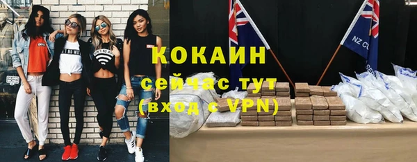apvp Алексин
