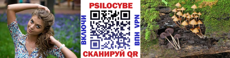 Псилоцибиновые грибы GOLDEN TEACHER Богданович
